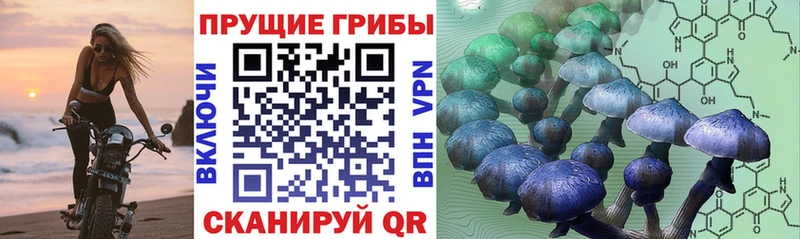 Псилоцибиновые грибы Magic Shrooms  Данилов 